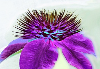 F 069E